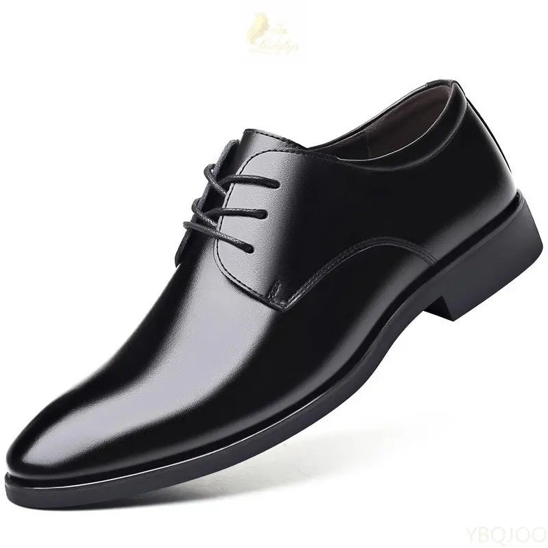 Large size men's office formal shoes low cut daily comfortable pointed multifunctional LADYLYS
